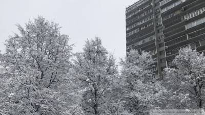 Холодные погодные аномалии ожидаются Европейской России