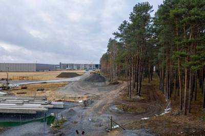 В Германии разрешили Tesla вырубить лес ради завода nbsp
