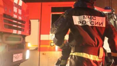Названа предварительная причина пожара в ФМБА в Подмосковье — видео