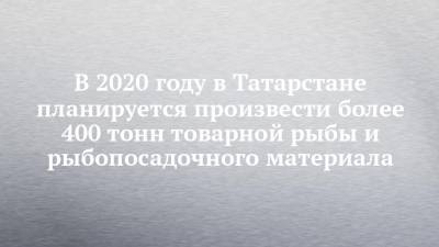 В 2020 году в Татарстане планируется произвести более 400 тонн товарной рыбы и рыбопосадочного материала