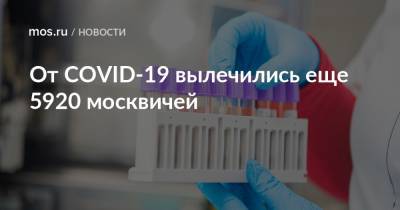 От COVID-19 вылечились еще 5920 москвичей