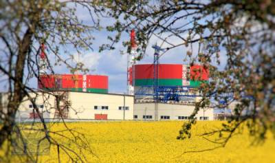 Хотят обойти бойкот БелАЭС? Литва подозревает Латвию и Эстонию в предательстве