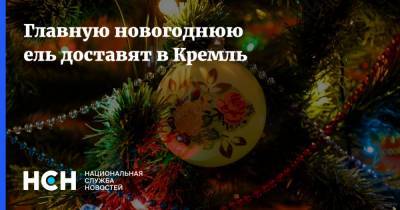 Главную новогоднюю ель доставят в Кремль
