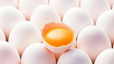 В Латвии нашли сальмонеллу в украинских куриных яйцах