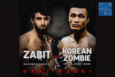 Корейский Зомби вновь вызвал Забита Магомедшарипова на бой