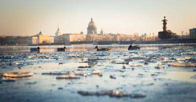 На реках в центре Петербурга появился первый лед