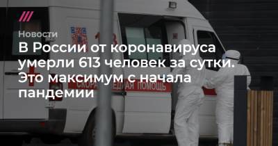 В России от коронавируса умерли 613 человек за сутки. Это максимум с начала пандемии