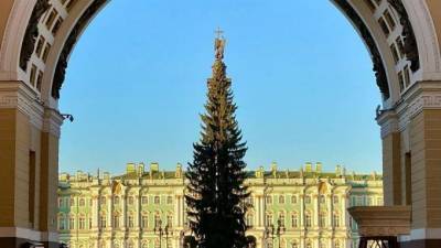 Ель на Дворцовой площади украсят к 20 декабря