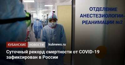 Суточный рекорд смертности от COVID-19 зафиксирован в России