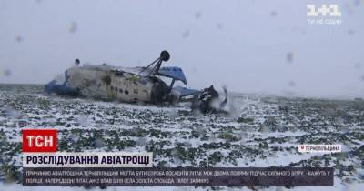 Крушение самолета в Тернопольской области: полиция назвала предварительную версию аварии