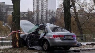 В Киеве на Русановке машина влетела в дерево: есть жертвы