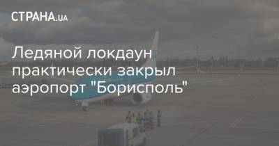 Ледяной локдаун практически закрыл аэропорт "Борисполь"