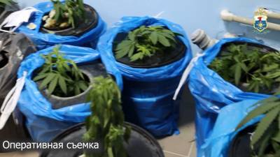 Нижегородец осужден на 9 лет за продажу наркотиков