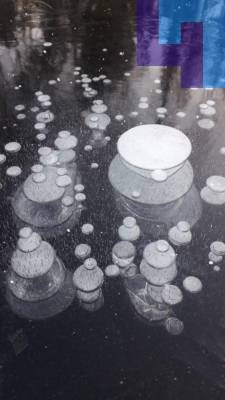 На скованном льдом пруде в Перово появились застывшие пузыри — фот