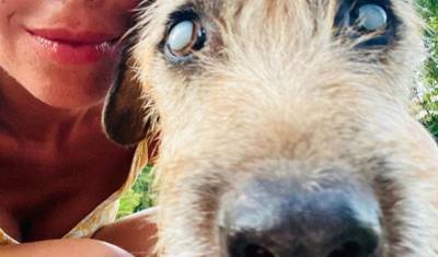 Наталья Водянова побывала в гостях у спасенного ею пса