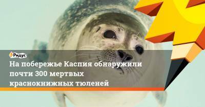 На побережье Каспия обнаружили почти 300 мертвых краснокнижных тюленей