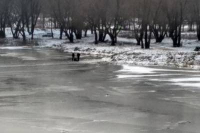 В Твери двое рыбаков спасли провалившегося под лед единомышленника