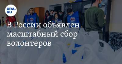 В России объявлен масштабный сбор волонтеров
