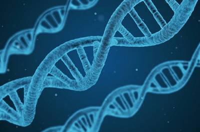 МВД начало разрабатывать порядок проведения добровольной ДНК-регистрации