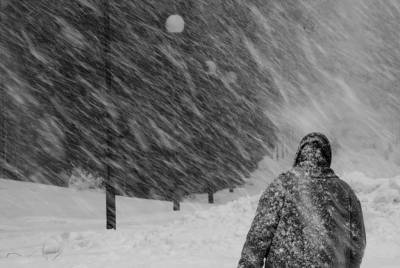 Прогноз по районам: дорожники Ленобласти предупреждают о первом в сезоне снежном буране