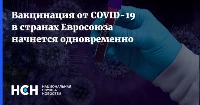 Вакцинация от COVID-19 в странах Евросоюза начнется одновременно