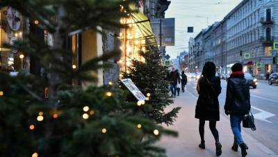 Ёлочные базары в Петербурге откроются 20 декабря