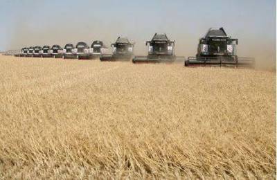 Власти РФ обсуждают пошлину на экспорт пшеницы около 2000 рублей за тонну с 15 февраля по 30 июня, решения еще нет - источники