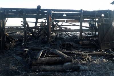 В деревне Марий Эл погибли в пожаре коза и козленок