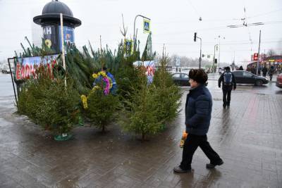 Елочные базары откроются во всех районах Петербурга 20 декабря