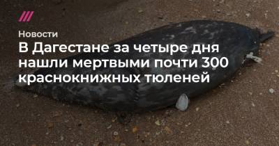 В Дагестане за четыре дня нашли мертвыми почти 300 краснокнижных тюленей