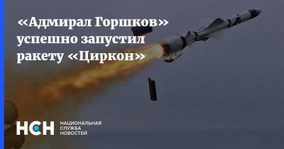 «Адмирал Горшков» успешно запустил ракету «Циркон»