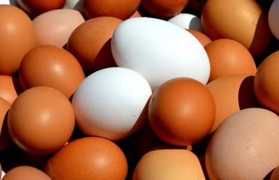 Латвия выявила сальмонеллу в яйцах из Украины