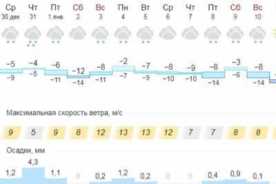 Появились первые прогнозы на новогоднюю ночь — в Костроме она должна быть приятной