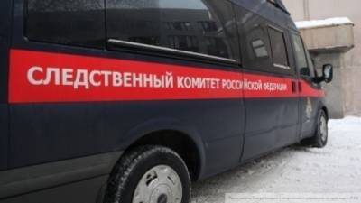 СК запросил арест украинского нациста, которого подозревают в убийстве россиянина