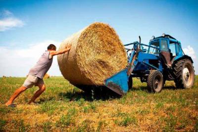 Украинские фермеры могут массово остановить работу