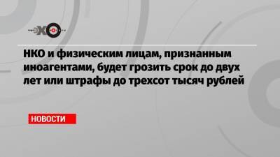 НКО и физическим лицам, признанным иноагентами, будет грозить срок до двух лет или штрафы до трехсот тысяч рублей