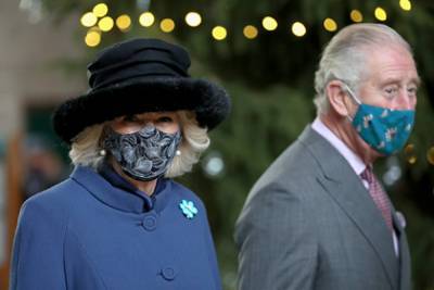 Эксперты раскрыли стоимость масок членов королевской семьи