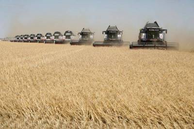 Власти РФ обсуждают пошлину на экспорт пшеницы около 2.000 р/т с 15 фев по 30 июн, решения еще нет -- источники