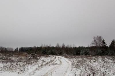 Владельцев земель в Ивановской области штрафуют за бесхозяйственность