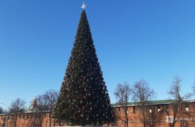 1 500 шаров и пять километров гирлянд украсили главную елку Нижнего Новгорода