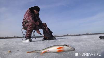 Водные виды развлечений: зимняя рыбалка и горячие источники (СПИСОК)