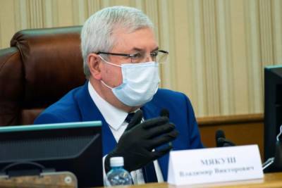Владимир Мякуш принял участие с заседании рабочей группы по "конституционным" правкам законов