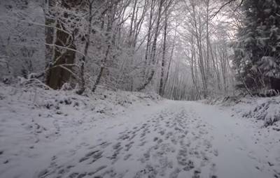 Аномально теплая зима и снегопады: синоптик ошарашил украинцев прогнозом, "климат меняется"