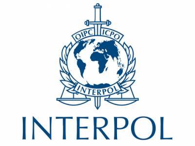 В Москве задержали иностранца, разыскиваемого Интерполом за хищение $250 млн