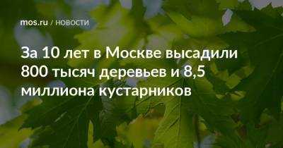 За 10 лет в Москве высадили 800 тысяч деревьев и 8,5 миллиона кустарников