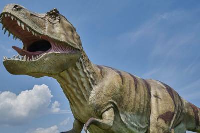 Грациозный динозавр-фигурист показал как перемещаться по Киеву в гололед: видео