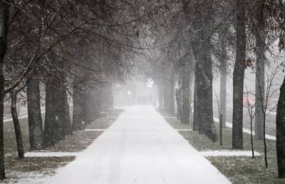Мокрый снег, дождь и скользкие дороги: прогноз погоды на 12 декабря