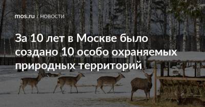 За 10 лет в Москве было создано 10 особо охраняемых природных территорий