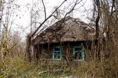 Сказочная избушка "пустила корни" в Чернобыльском заповеднике. Фото