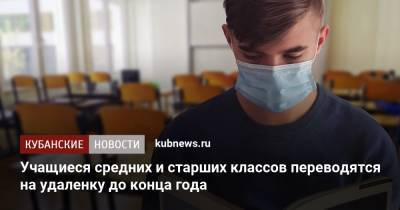 Учащиеся средних и старших классов переводятся на удаленку до конца года